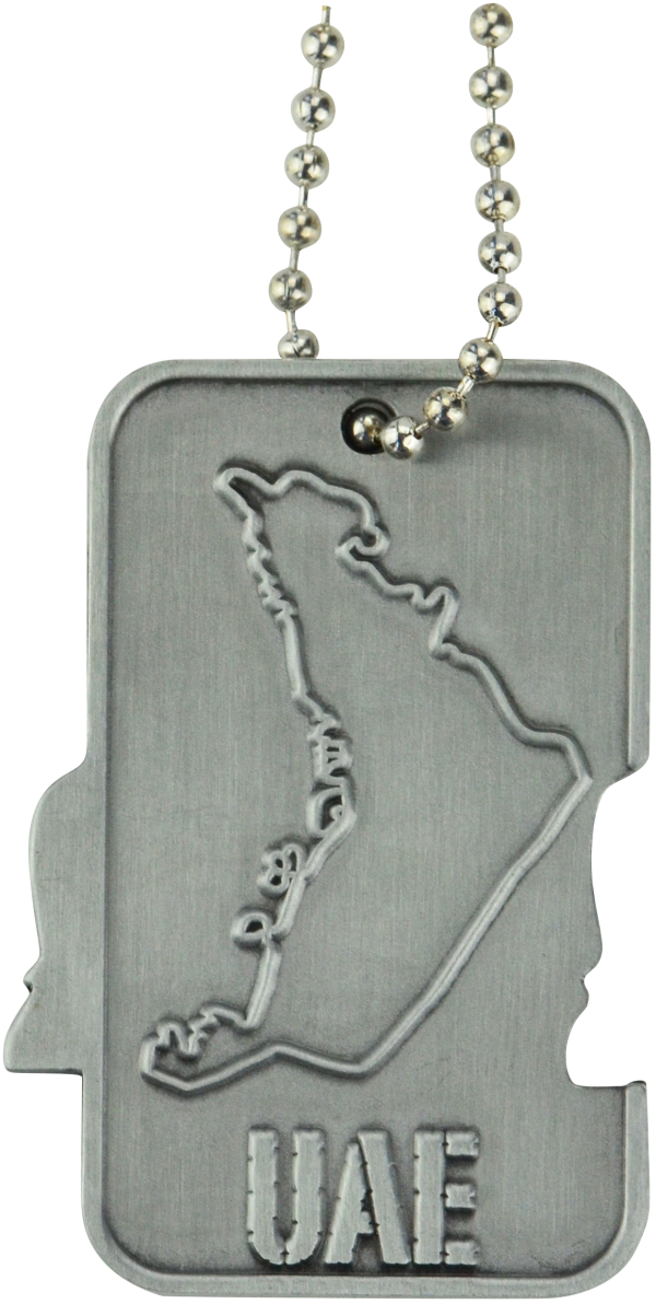 Sublimation Dog Tag Necklace Custom Laser Engraved Blank Brass Gold Silver Dog Tags for Collar